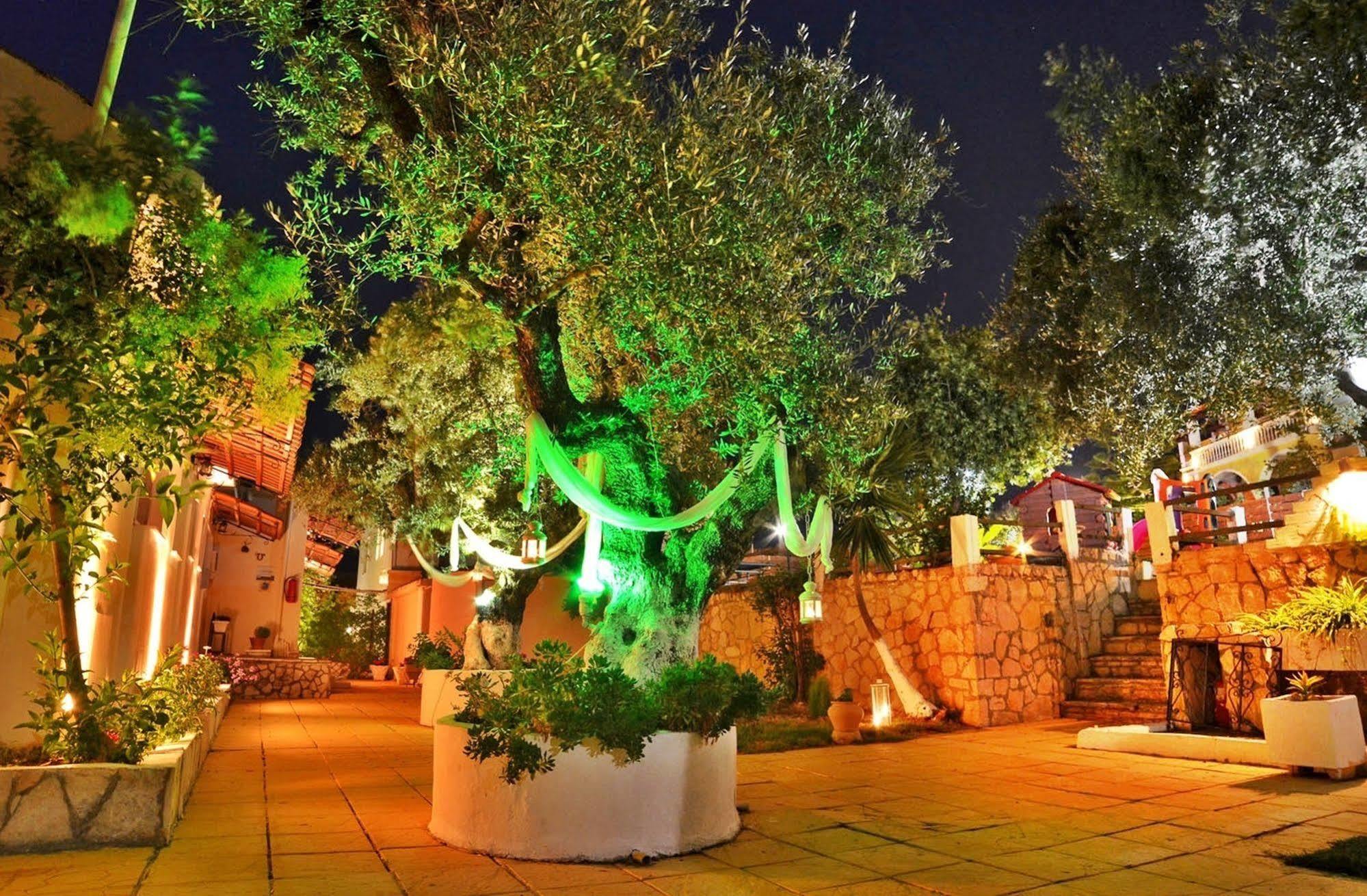 Sole E Mare Apartments Tsilivi  Exterior photo